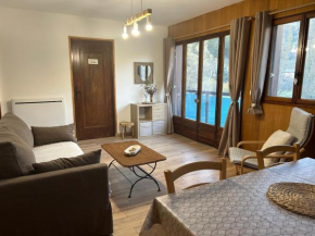 Appartement T2 40m2 tout confort
